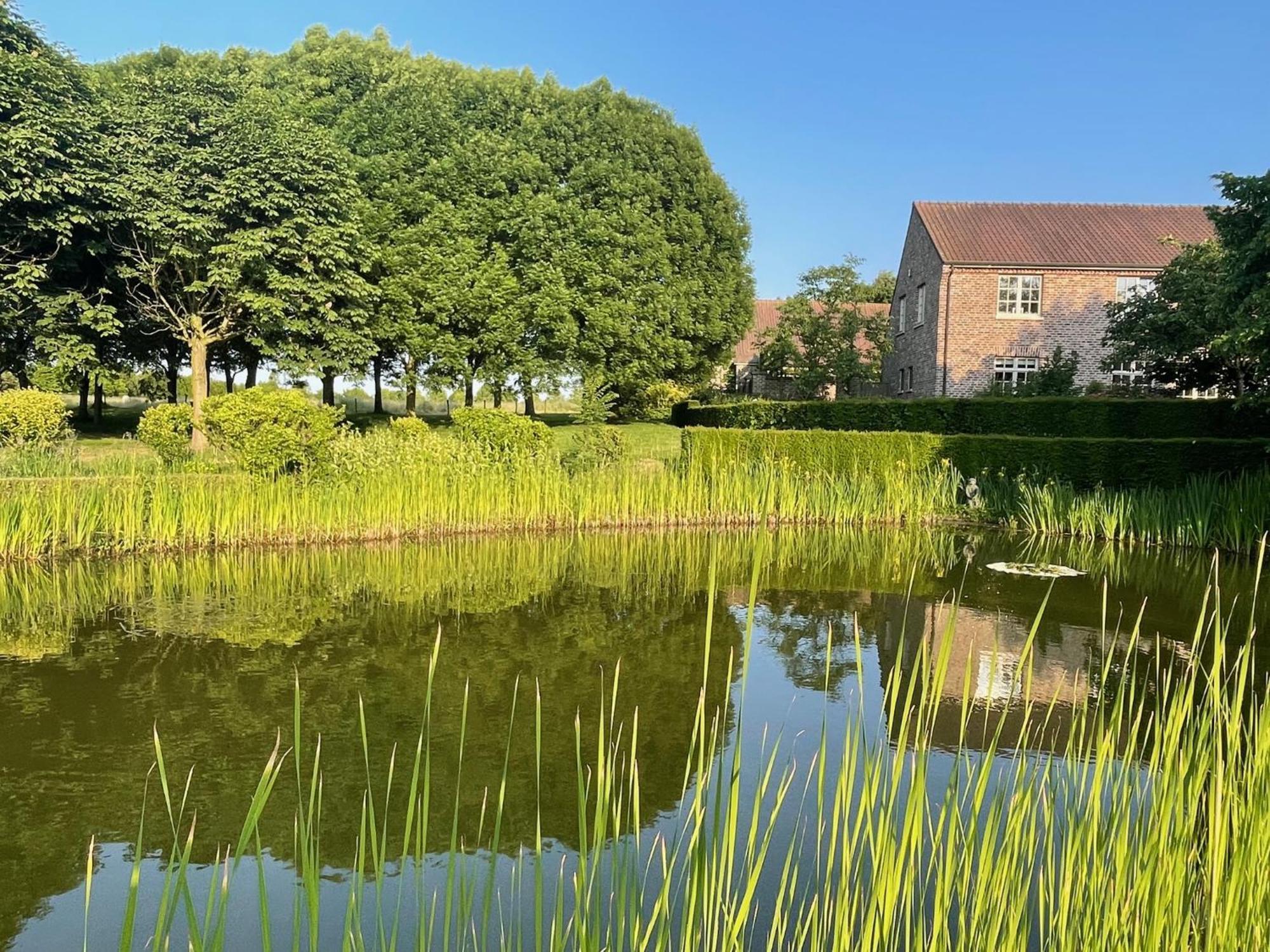 Imagine B&B Wortegem Esterno foto